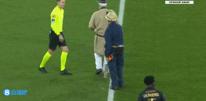 罗伊斯即将重返多特主场，担任欧冠对阵博德闪耀的分析嘉宾